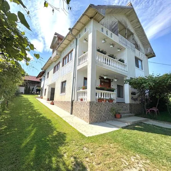 Pensiunea Angelica, hotel v destinaci Baia de Fier