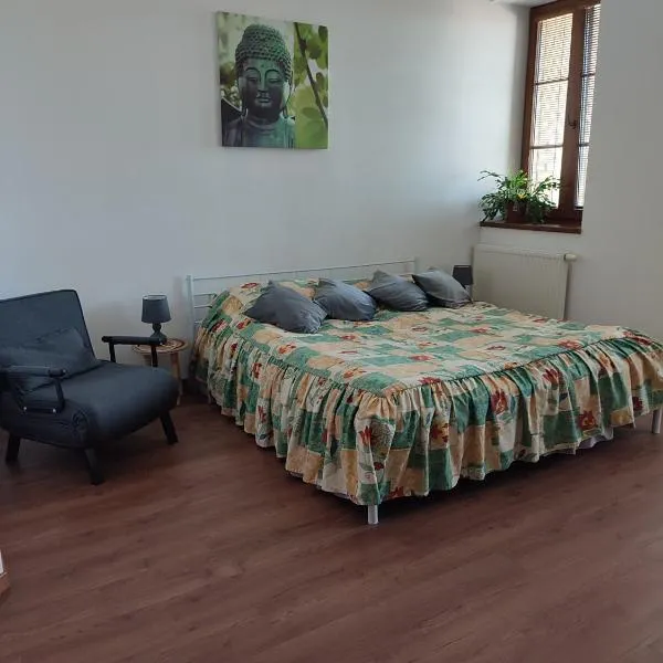 Villa Homestay Nad Helmrovkou, ξενοδοχείο στην Πράγα