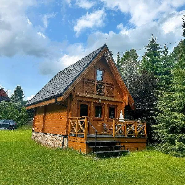 DOMKI JANOSIK - Janosik 2 Komfort, hotel in Łopuszna