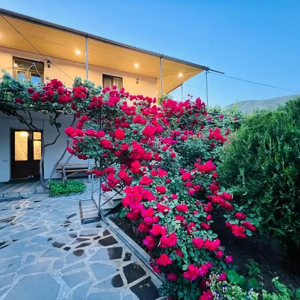 Guesthouse Mtkvari, hotel in Nak'alak'evi