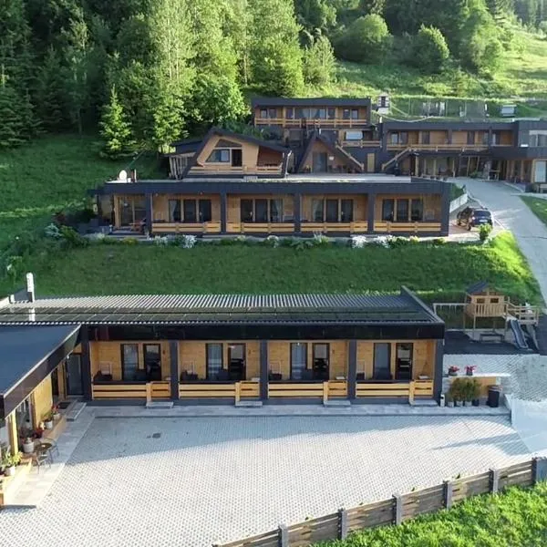 Panoramic Residence, hotel v destinaci Borşa