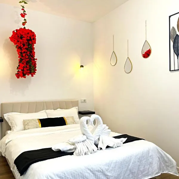 Studio Full Kitchen AC Free Parking Popcorn Wine, hotel in Chiajna