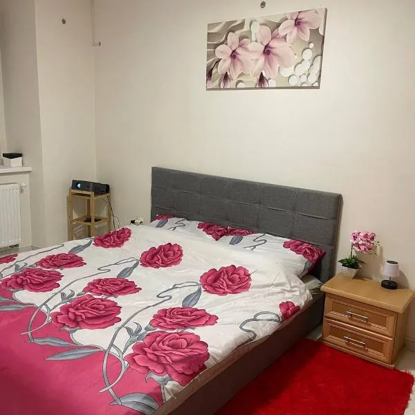 U Tonyho - Apartmán v centru Strakonice 2-kk, hotel v destinaci Strakonice