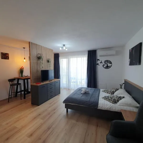 Apartament Relaxa Green 2 Studio AC Parking, hotel v destinaci Târgu-Mureş