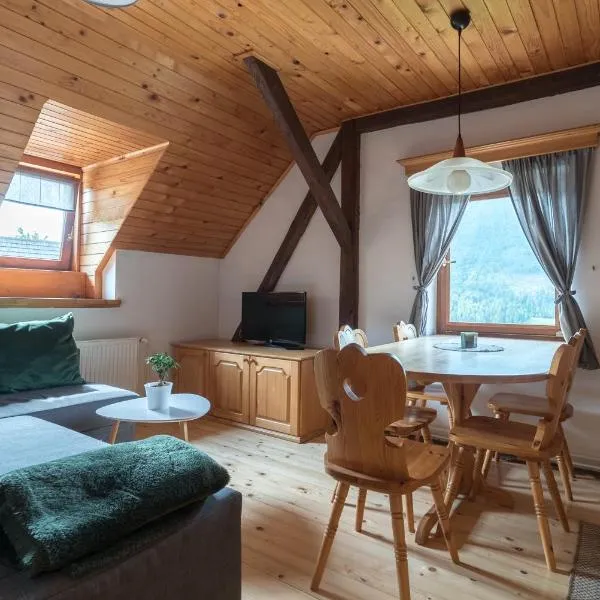 Mountain View Apartments - Pr` Potovcn`k, hotel in Dovje
