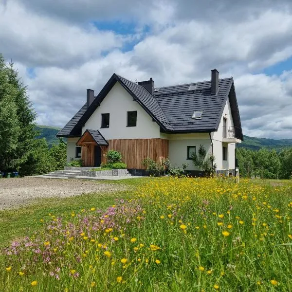Pod Wielką Zalesioną Górą – hotel w Wetlinie