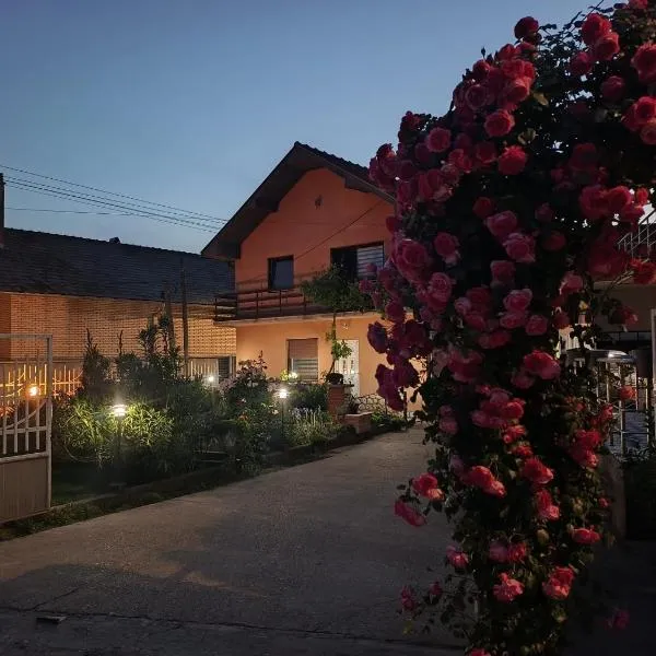 Vila Nina, hotel 