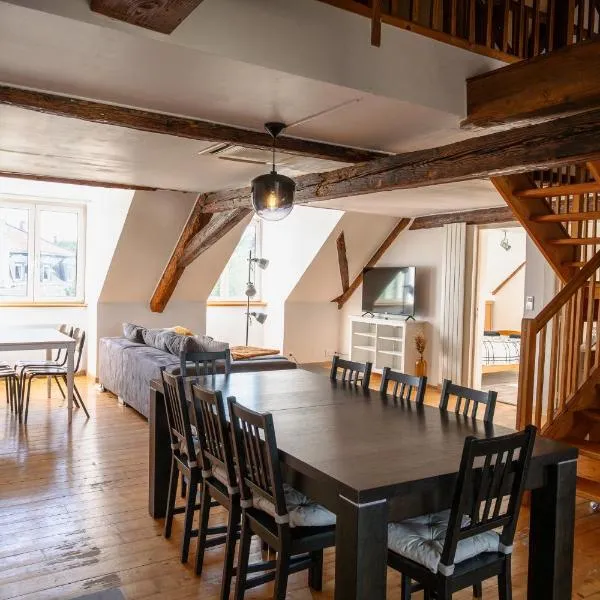 Grand duplex en plein centre, hotel in Cernay