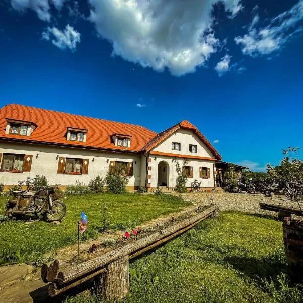 Pensiunea Elena, hotel v destinaci Criţ
