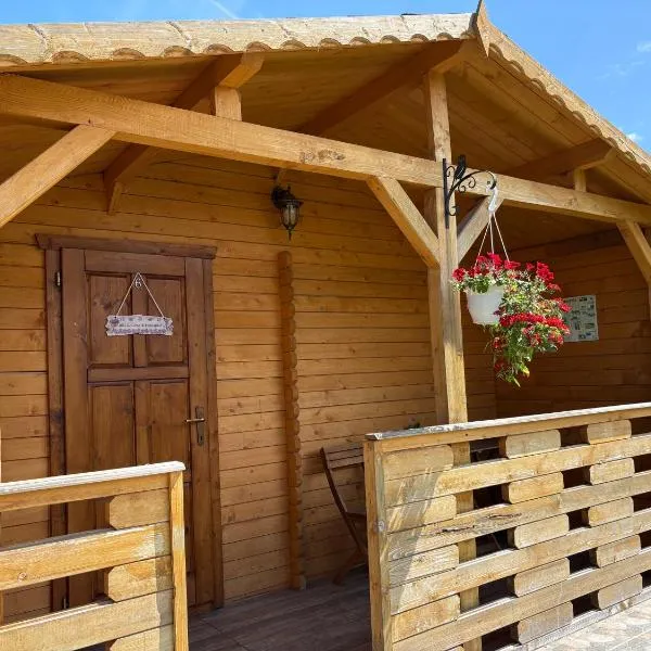 Casa Fericirii, hotel v destinaci Cîrţişoara