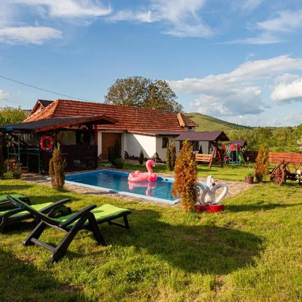 Transylvanian Retreat - Mountain View, BBQ & Pool, hotel v destinaci Damiş