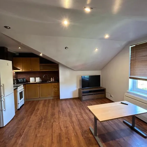 Homely 2 room apartment, hotel u gradu Lijepaja