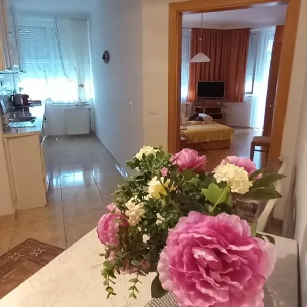 Favorite apartment, hotel in Hévíz