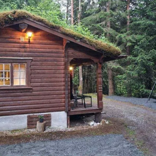 Skogshytte, hotel v destinaci Holmøyane