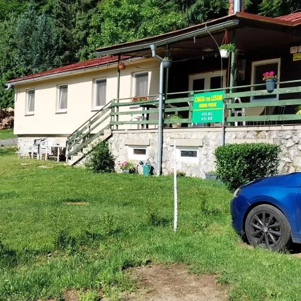 Chata pod lesom, hotel in Modra