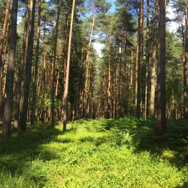 Ferienwohnung am Haff, Hotel in Grambin