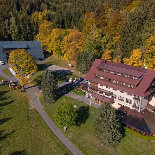 Juniorhotel Roxana, hotel u gradu 'Horní Rokytnice'