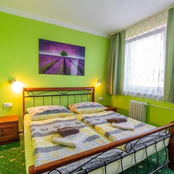 Hotel Hvězda, hotel in Kroměříž