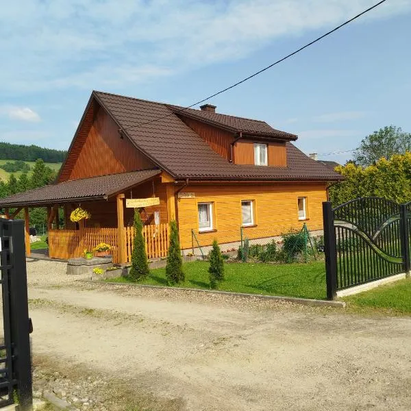 Przy Łemkowskiej Drodze, hotel v destinaci Krynica-Zdrój