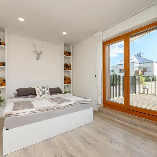 Apartmán Jezerní, hotel in Železná Ruda