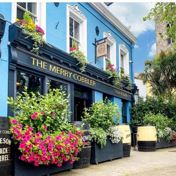 The Merry Cobbler, hotel v destinaci Dublin
