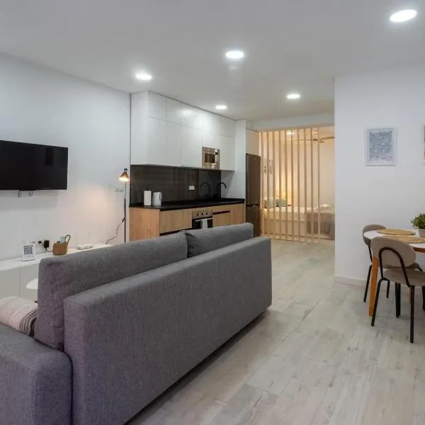 Suite Salengro Gare de Vaise WIfi, hotel in Vaise