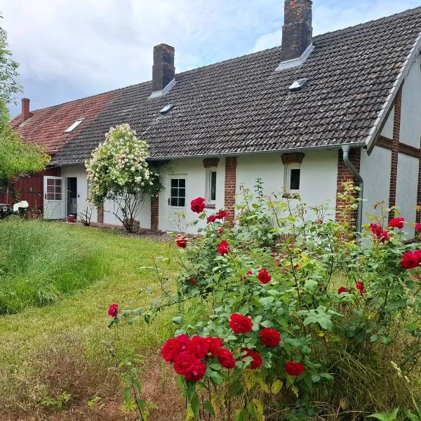 Ferienhaus in Mecklenburg mit gemütlichem Innenhof, hotel in Rothspalk