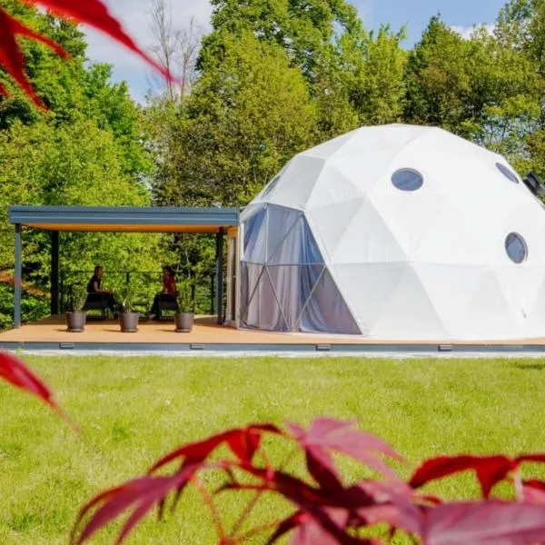 Cozy Fizio Dome, hotel in Gradišče v Slovenskih Goricah