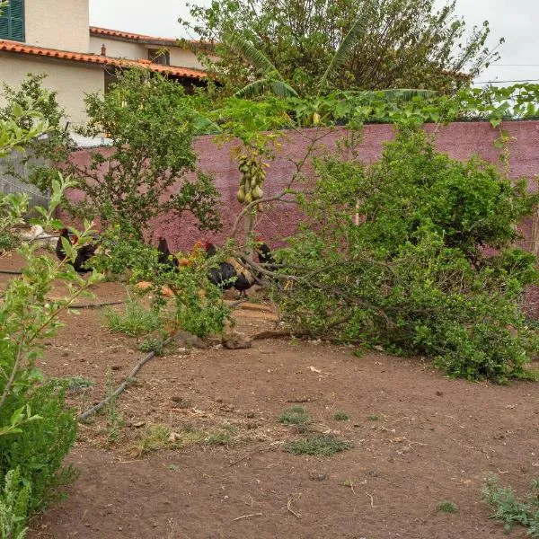 Paraiso Madeira - Suites, hotel in Gaula