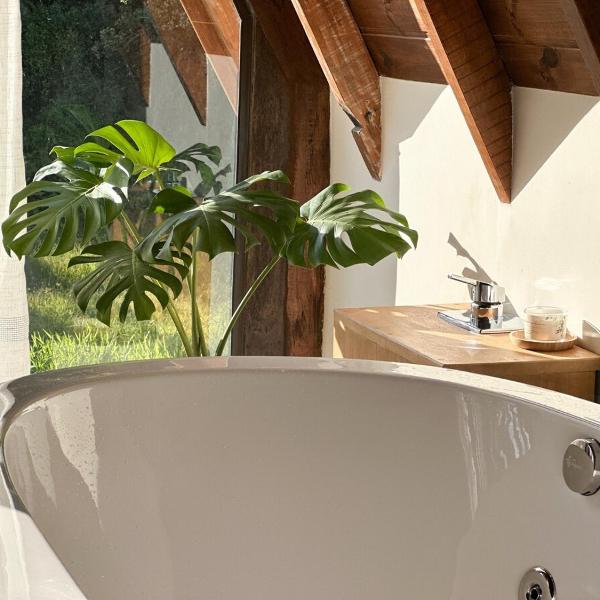 Cabana Com Hidro Na Natureza - Baoba Suites - Foto 3