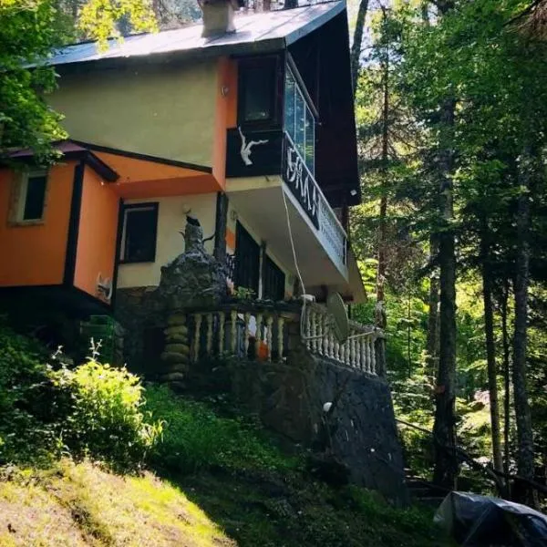 Villa Byala Luna - Guest House, hotel in Bistritsa