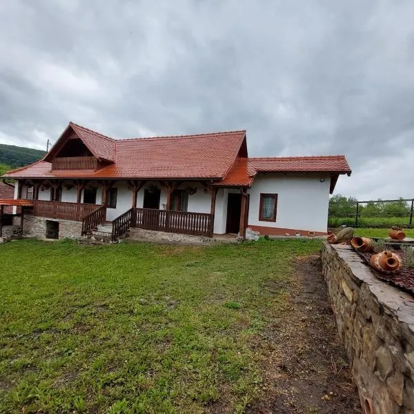 Renovated traditional house - Rustic Escape – hotel w mieście Şapartoc