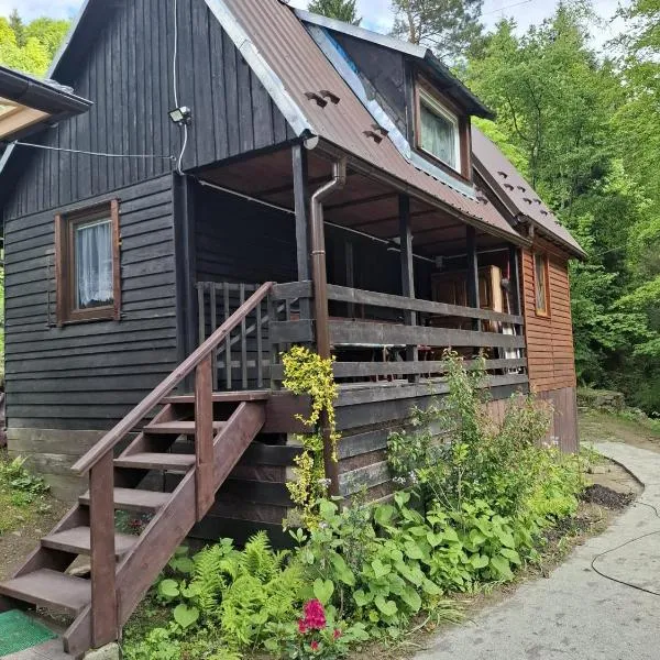 Duży drewniany domek nad rzeką, Obidza 381, Łącko, hotel di Obidza