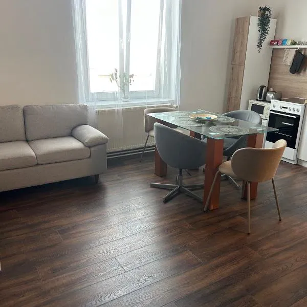Apartman Hasičská, hotel in Trenčín