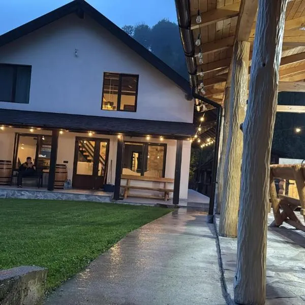 Casa de vacanță Edya, hotel in Petroşani
