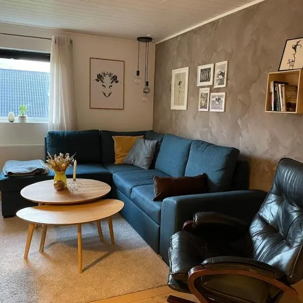 Cozy apartment in beautiful Syðrugøta – hotel w mieście Syðrugøta