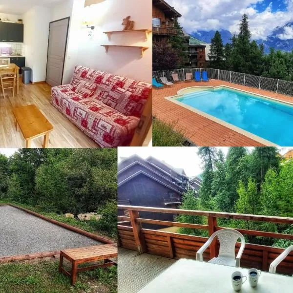 T2 cosy montagne & piscine, hotel in Puy-Saint-Vincent