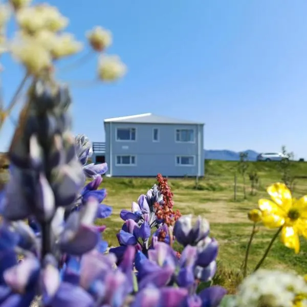 Selið Farm Stay - Guesthouse, hotel in Álftanes