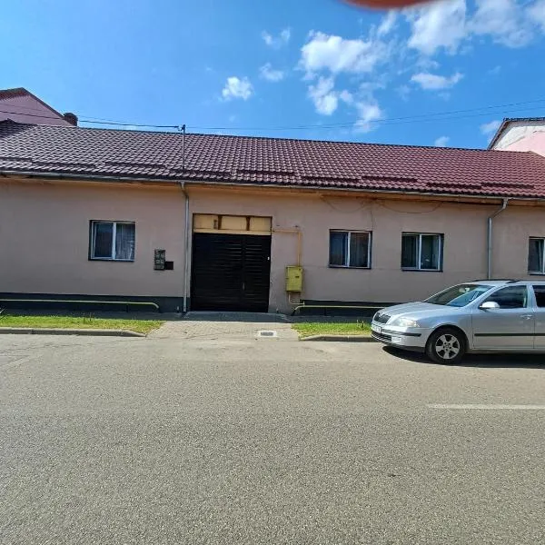 CASA Bia, hotel in Haţeg