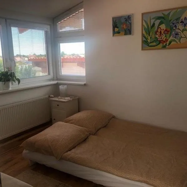 Living in the Gallery, hotel in Jánošíková