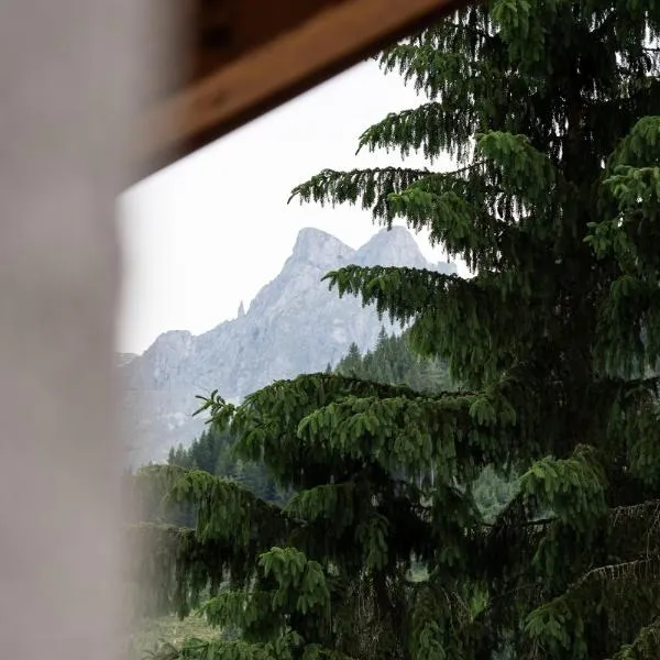 Gasthof Schöntal, hotel v destinaci Werfenweng