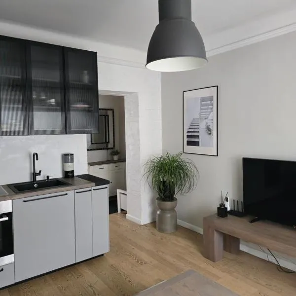 Downtown Apartment Rentals, hotel v destinaci Šiauliai
