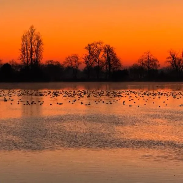 Escale détente, hotel Vayres városában