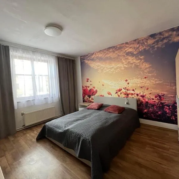 Apartmán 1 jar-leto, hotel in Martin