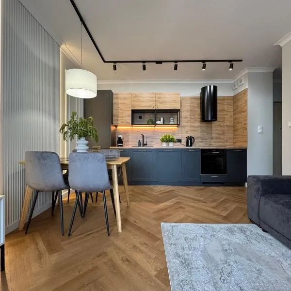 Apartament Lunaria Staszica free parking, hotel in Toruń