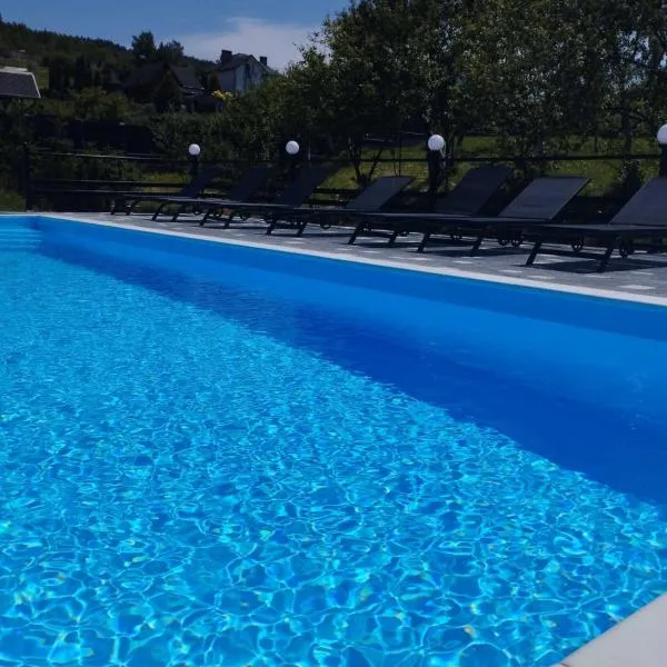 Перлина Карпат, hotel in Skhidnitsa