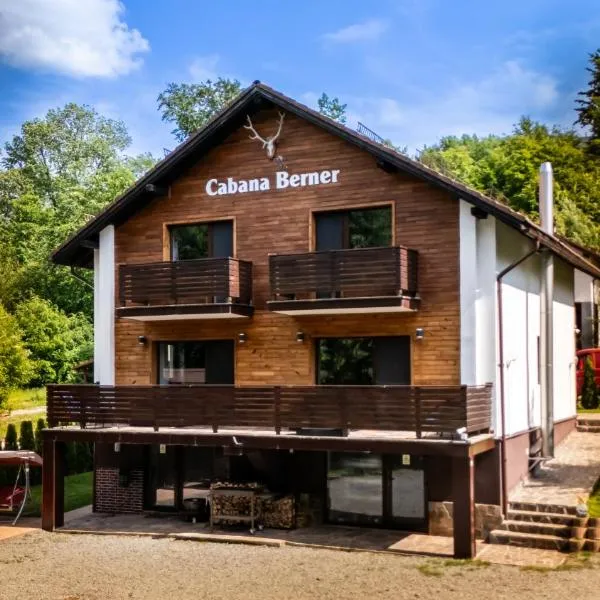 CABANA BERNER stațiunea Mogoșa, hotel v destinaci Baia-Sprie