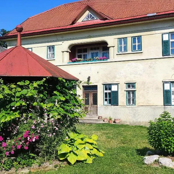 Vila Jasna, hotel v destinaci Radovljica