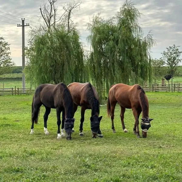 Tenuta Oasi del cavallo, hotel v mestu Sommacampagna