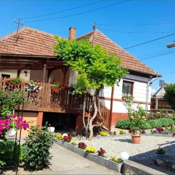 Casa Teonia, hotel v destinaci Tăşnad